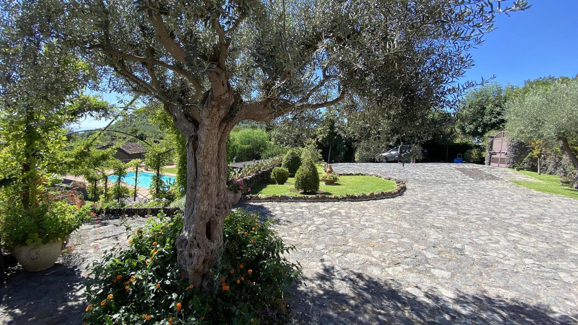 Il Palmento Dell'Etna Βίλα Trecastagni Εξωτερικό φωτογραφία